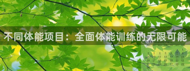 双赢平台体育老板是谁：不同体能项目：全面体能训练的无限可能