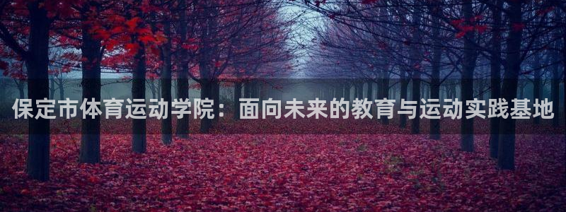 福建双赢平台机电股份公司：保定市体育运动学院：面向未来的教育与运动实践基地